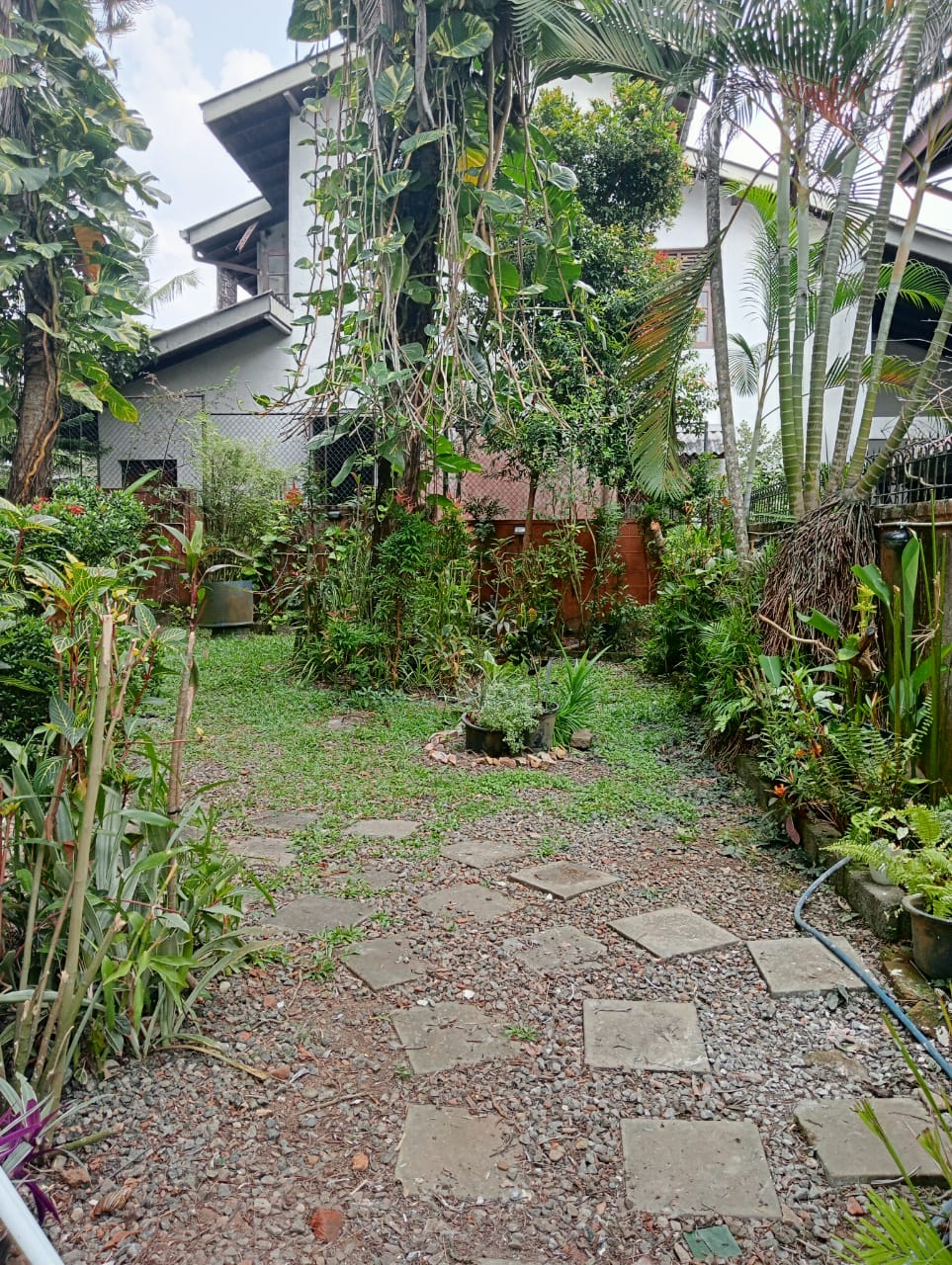 TWG-0041-04-25